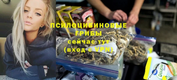 СК Абдулино
